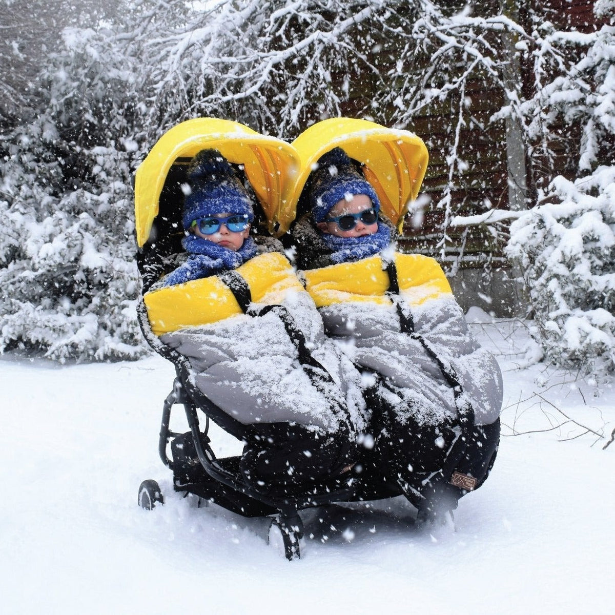 designer babies buggy
