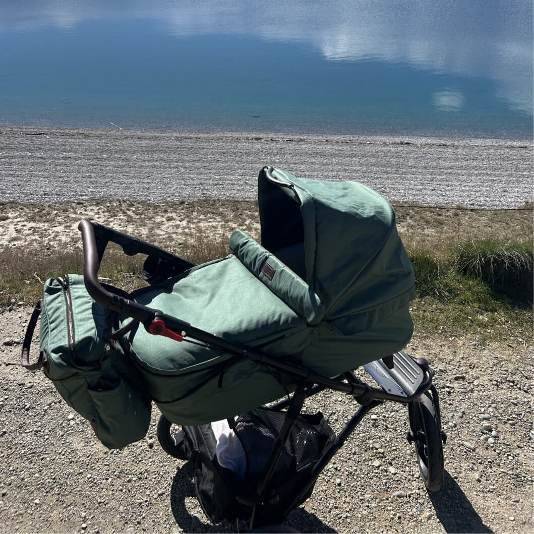 designer babies buggy