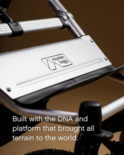 duet™ buggy